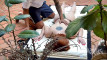 Pratinjau video