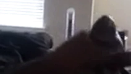 cumming