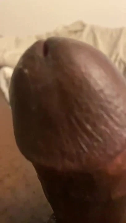 bbc for you snap