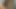 Amateur Milfs Summer Love Part #3 - Amateurs Recorded -