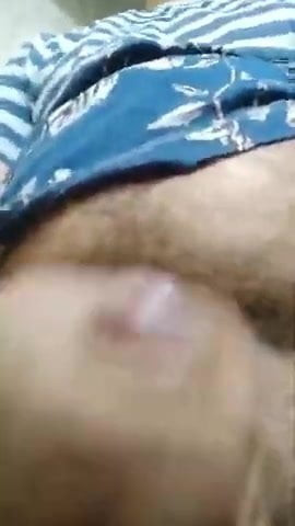 Sperm for Pig