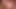 Cumshot derleme cilt 5