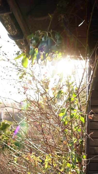 Hutan melihat saya berbogel, hanya tuala menyimpan rahsia 🌿