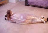 Twin Wrapped