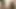 Threesome interracial fun with two shemales