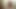 A hairy BBW masturbating in the shower