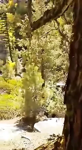 Tiktoker viral βίντεο σεξ στο murree