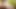 LEZ CUTIES - Three Best Friends Decide To Have A Naughty Outdoor Picnic While Licking Their Pussies
