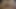 Verbal Climaxing with  oily piss covered ginger cock. Pulsating cock and balls. Dry cum