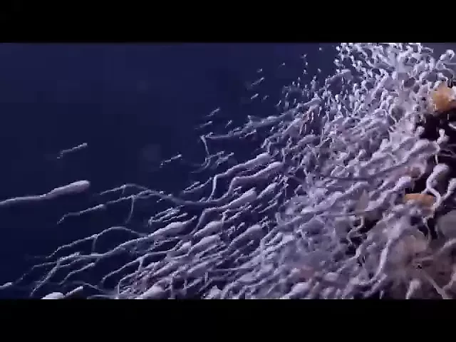 Подборка