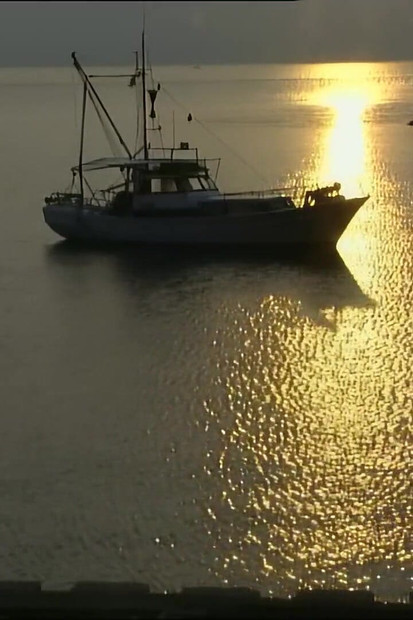 Horny Brunette Suck a Big Cock of His Friend Before She Get Fuck