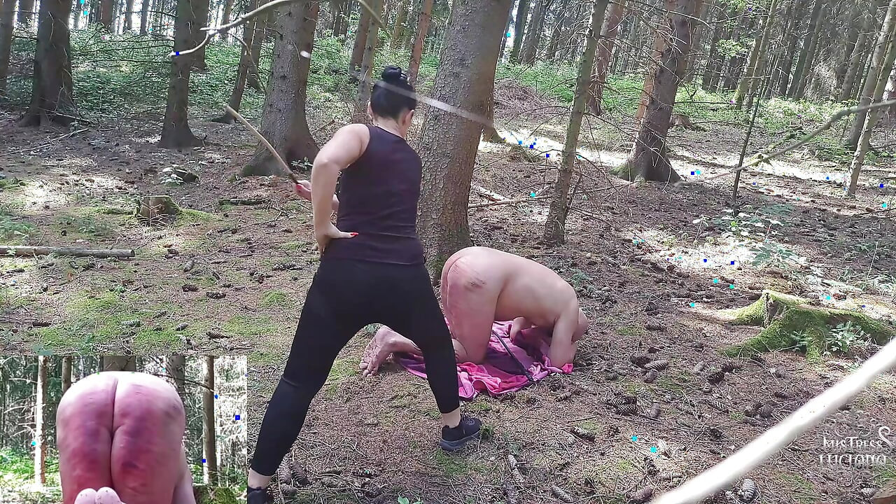 Rózgi w lesie 2