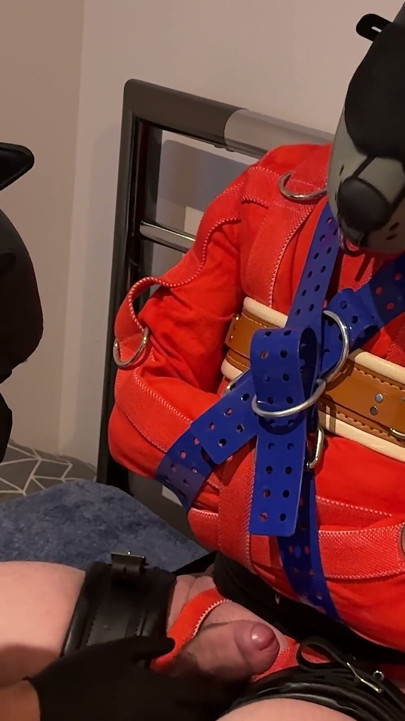 Pup Straitjacketed and Edged