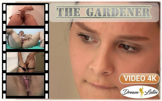 Pregled videozapisa