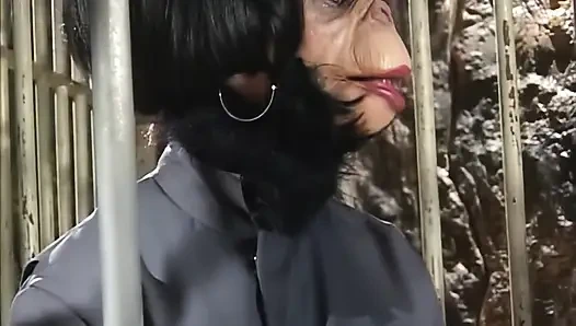 Gefangener deines samtigen Arsches