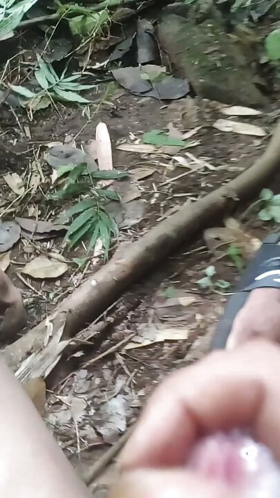 Soksoka in jungle