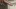 Frens 29 riesige gepumpte Schwanzbild-Zusammenstellung