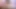 Lesbian hot lagi asik muasin memek mereka pakai vibrator sampai muncrat