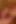 Seksi masör büyük yarağa masaj yapıyor, sikişiyor ve boşalıyor