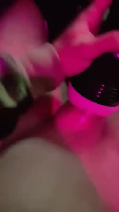 vagina