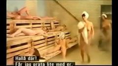 Trechos de comédia sexual dinamarquesa