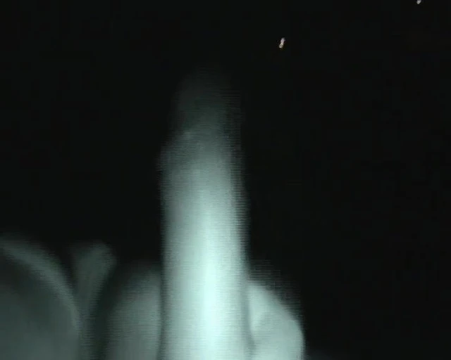 Public Dickflash - A walk in the park...