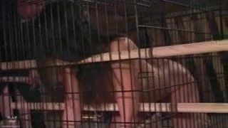 Caged Blowjob