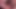 ディックハンティングが大好き