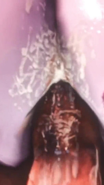 Captivating moment from "Morrigan Aensland in the Electron Temple (Part 1) Animation"