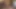 Esmer porno yıldızı Cole Conners bakış açısıyla elle muamele çekiyor