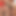 PAWGスリーサム、ケルシー・モンローとAJアップルゲートがホーターズのユニフォームでセックスしている。この二人の大きなお尻の美女が共有する様子を見てください