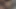 Petite Idol Beauty Revealed Hotel Window Backshot Creampie Finish Uncensored