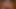 Miss AlJonkDon (Test2)