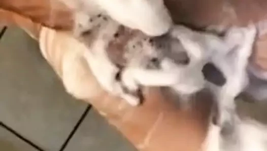 Asılı twink duş