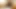 INDIAN MAN WITH BIG DICK MASTURBATING ALONE 92