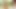 Sexpot Nicole Aniston gets creampied in her backyard