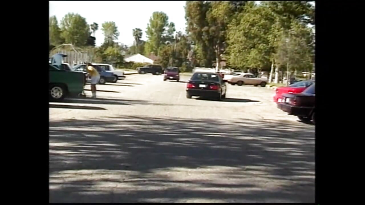 Divlji i veliki kurac