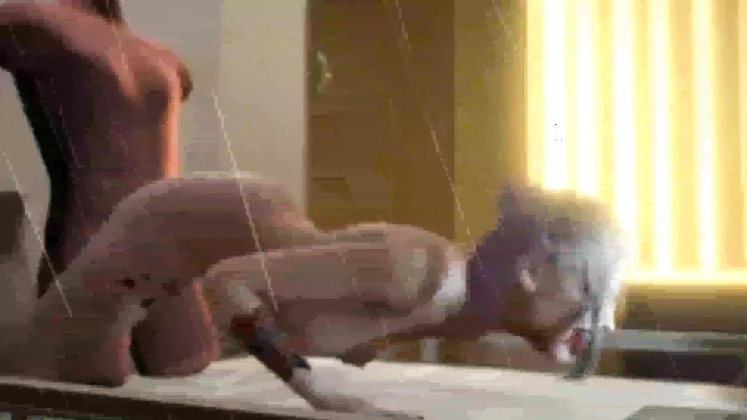 3d romantisk sexvideo