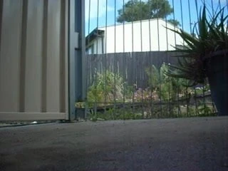 Cumming Outside