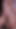 Stunning moment from "Assfucking with my Venezuelan student niece we whisper so that no one sees us that we fuck in the"