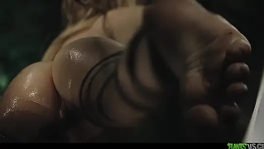 Bitkiler amcıklara karşı cilt 10