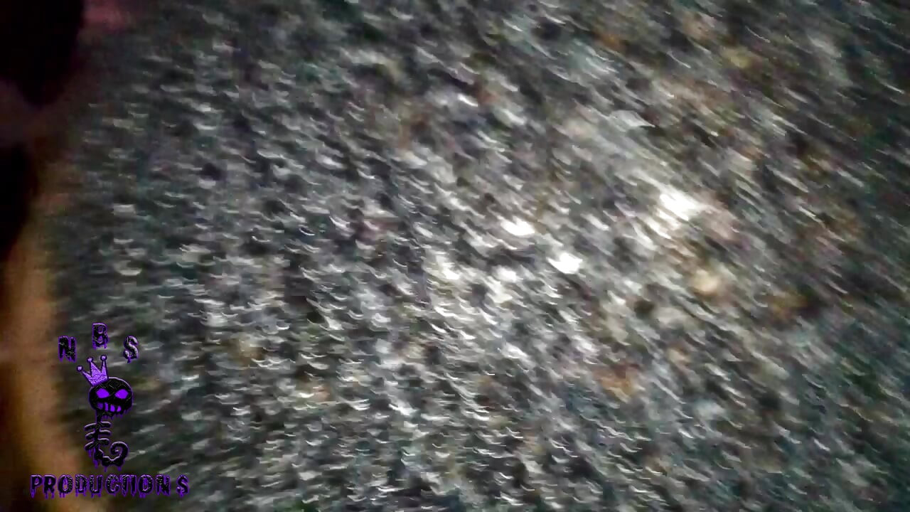 Black ब्रीडर्स एडवेंचर्स 175