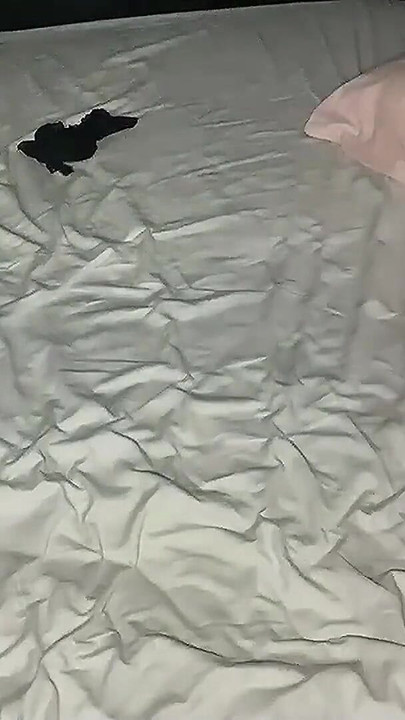 Powerful moment from "SQUIRTING, HAIRY ANAL FISTING. RIMMING. RING GAG."