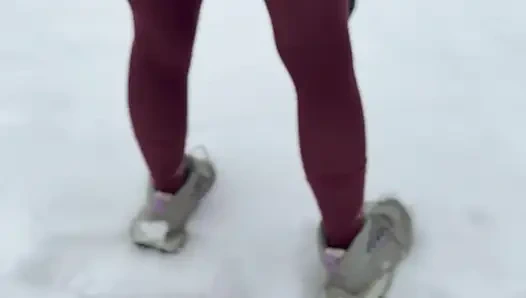 Muschi auf dem schnee