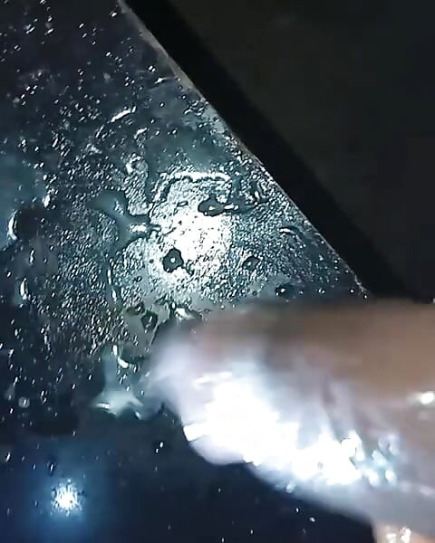 وحشي أكبر ديك أسود أفريقي.