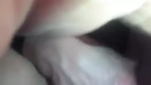 새 장난감