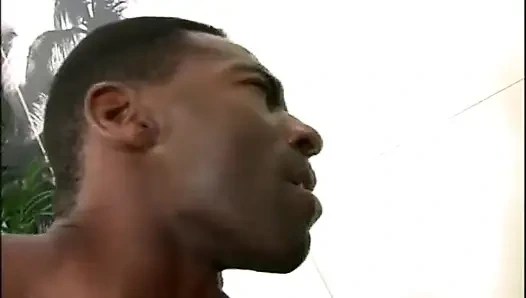 Задница для 2-х черных - (полный порно фильм) DVD