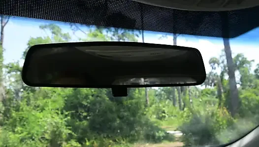 Видео на весь день