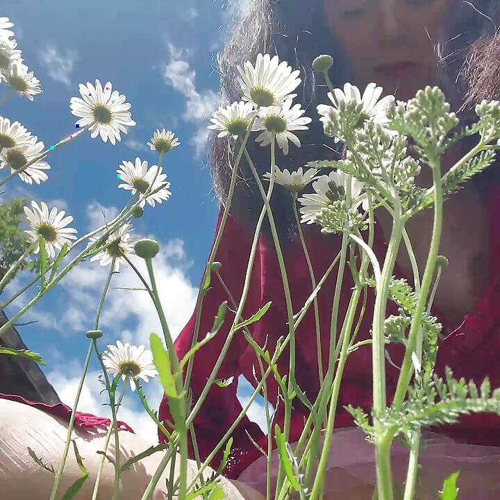 piss for gardend on the grass beautifull