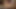 Wife has a Quickie with Her Young FWB and his Monster Cock